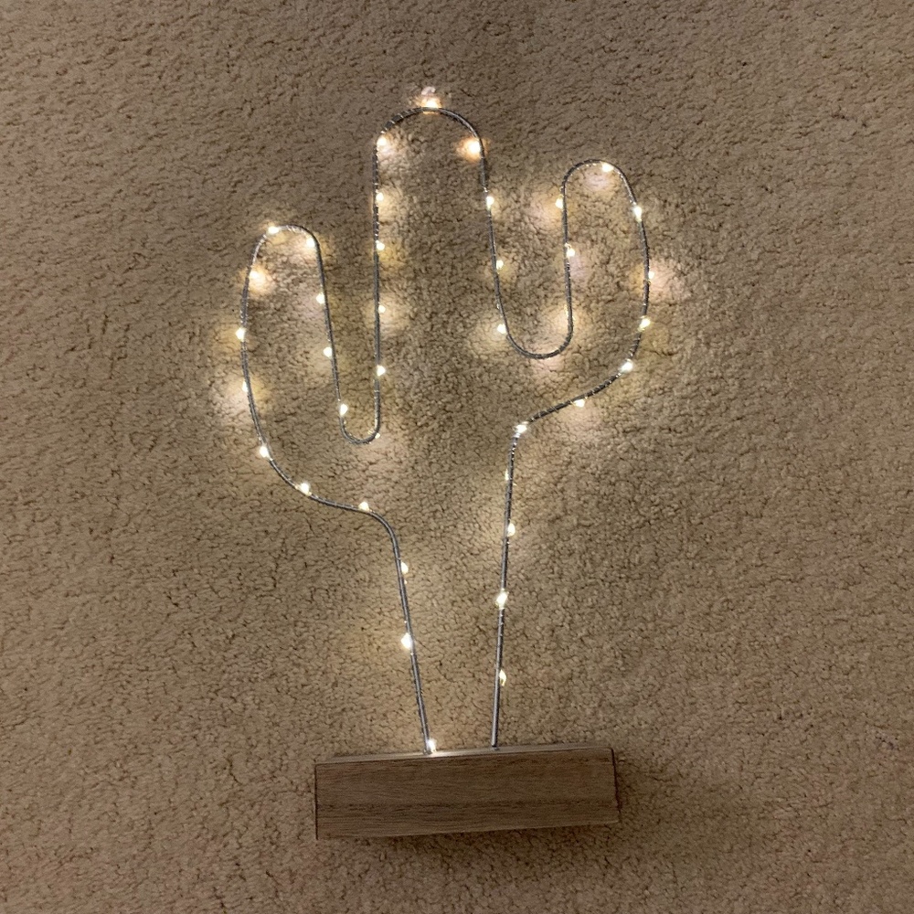 Cactus light and pillow set